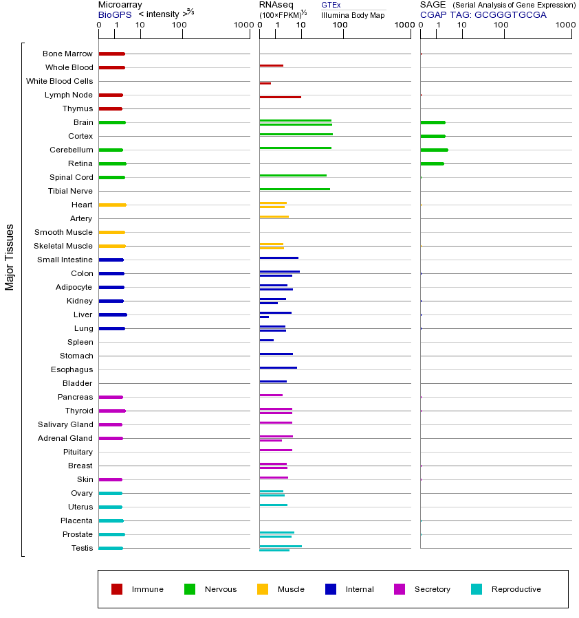 基因在不同组织中的表达图