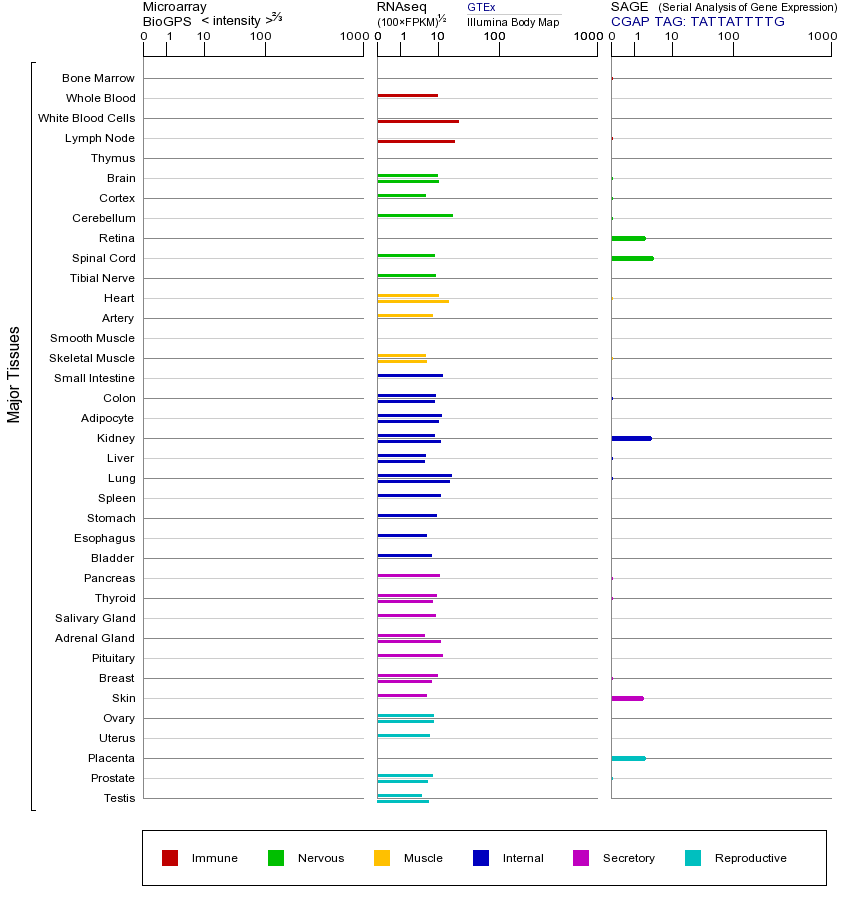 基因在不同组织中的表达图