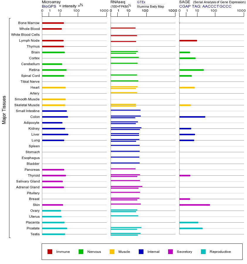 基因在不同组织中的表达图