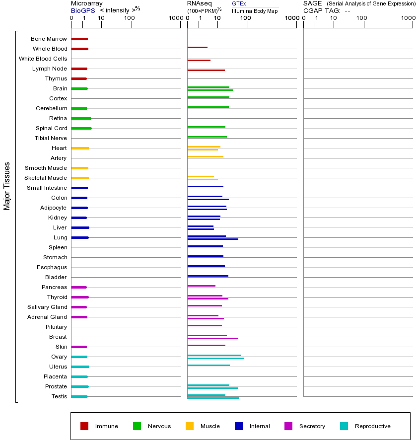 基因在不同组织中的表达图