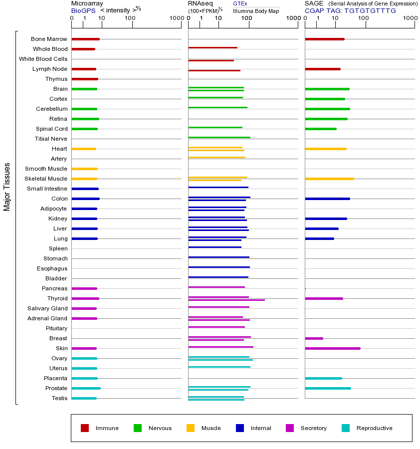 基因在不同组织中的表达图