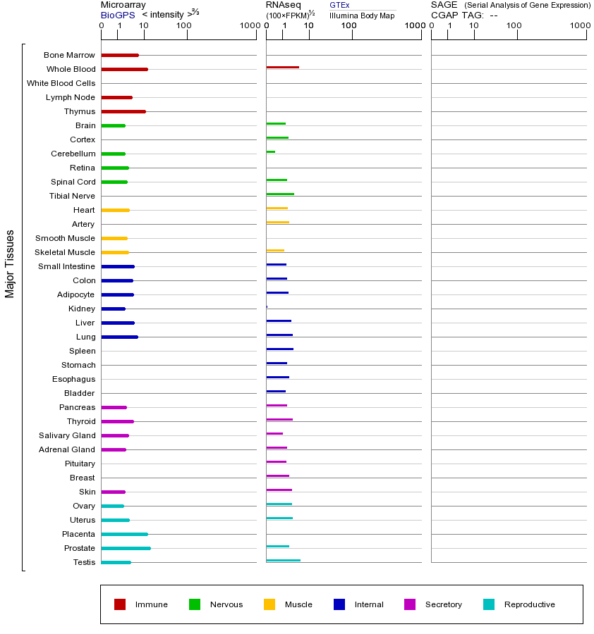 基因在不同组织中的表达图