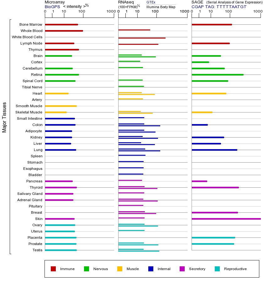 基因在不同组织中的表达图