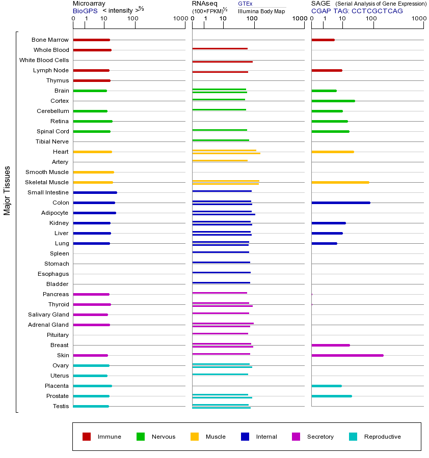 基因在不同组织中的表达图