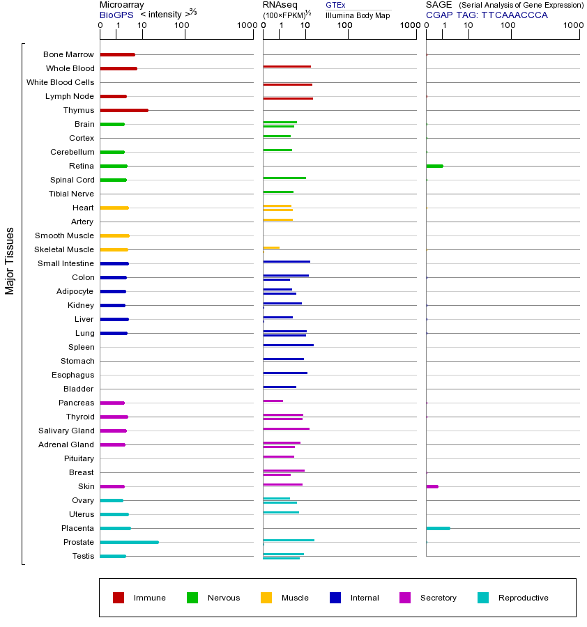 基因在不同组织中的表达图