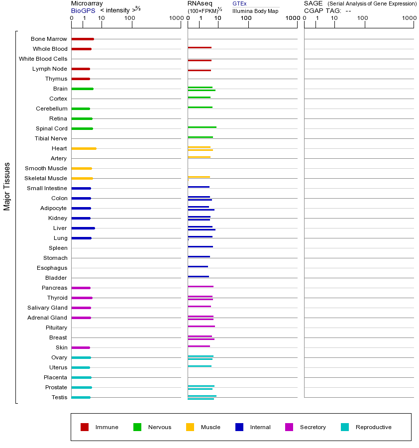 基因在不同组织中的表达图