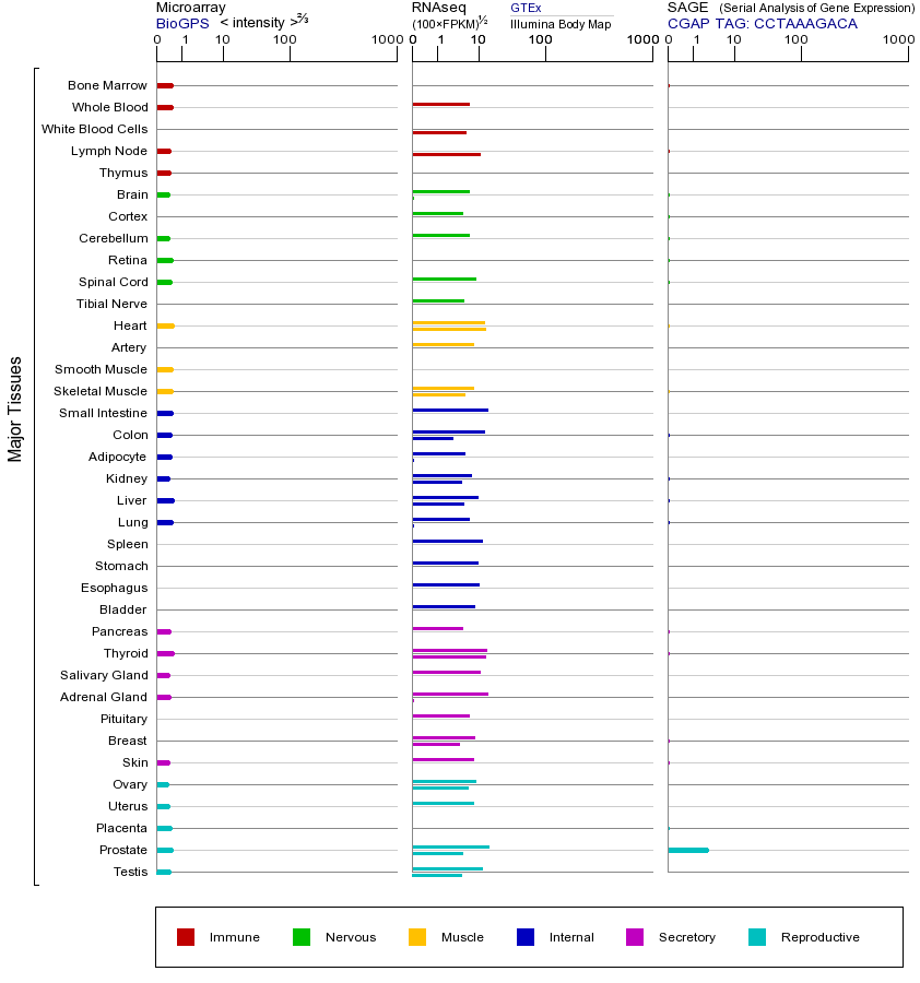 基因在不同组织中的表达图