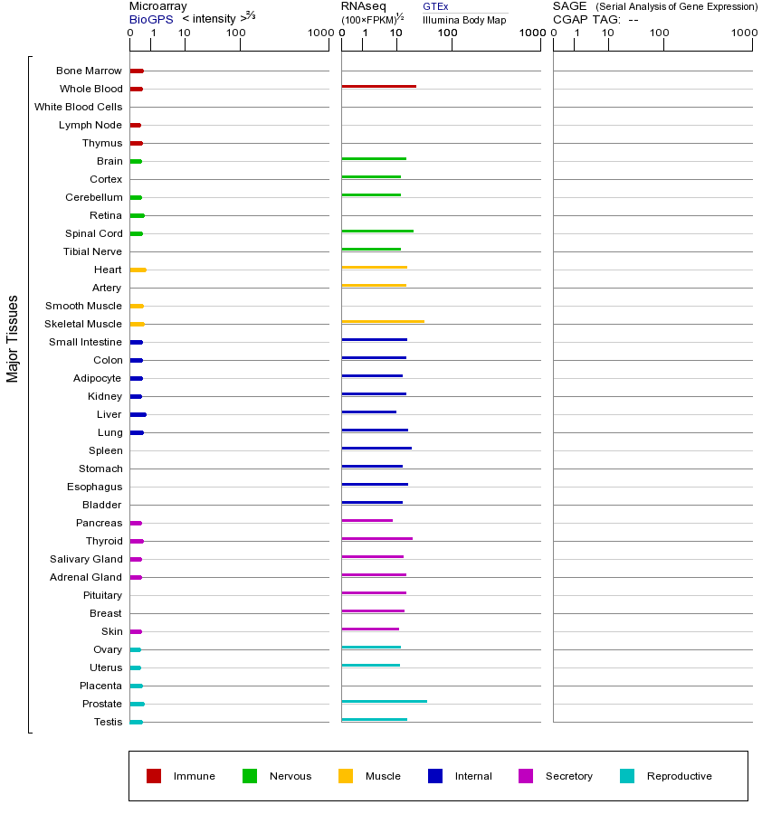 基因在不同组织中的表达图