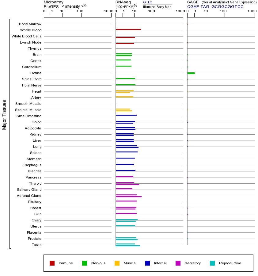 基因在不同组织中的表达图