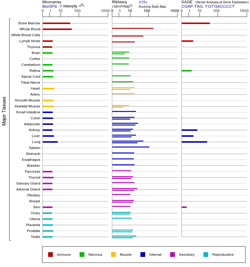 基因在不同组织中的表达图