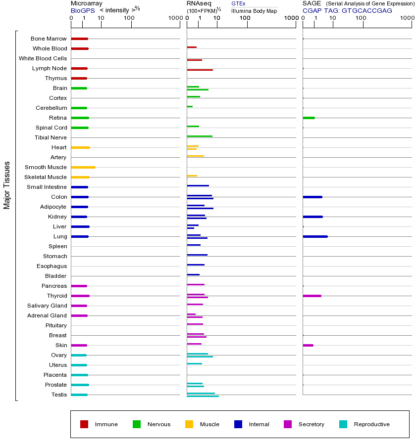 基因在不同组织中的表达图