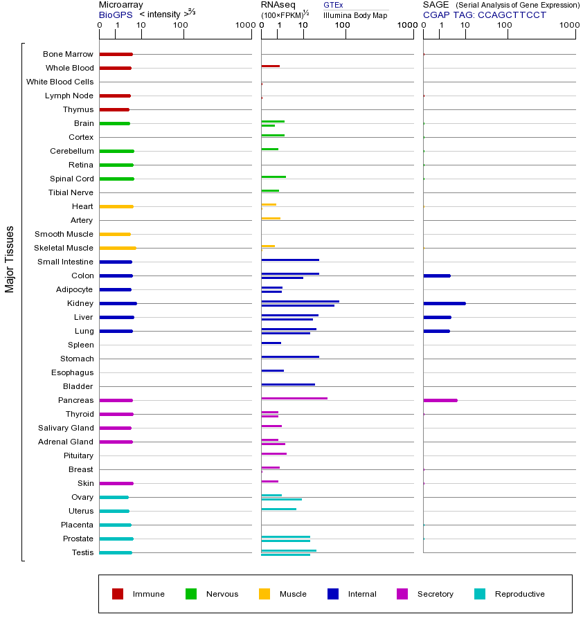 基因在不同组织中的表达图