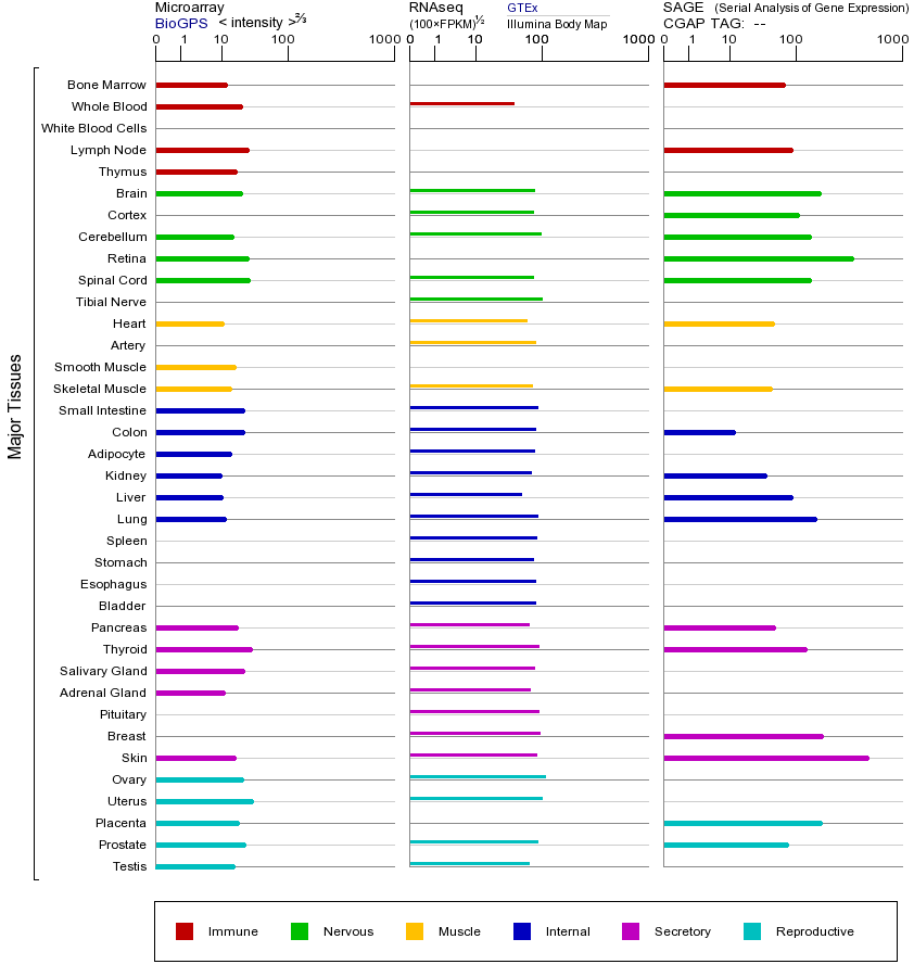 基因在不同组织中的表达图