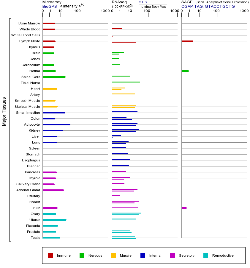 基因在不同组织中的表达图
