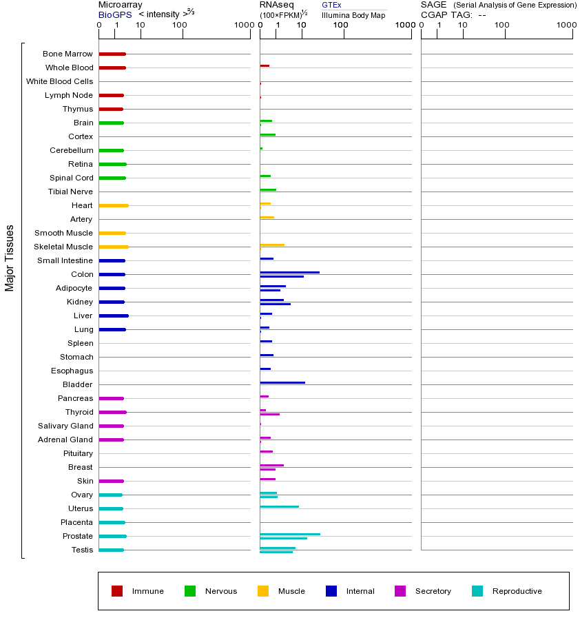 基因在不同组织中的表达图