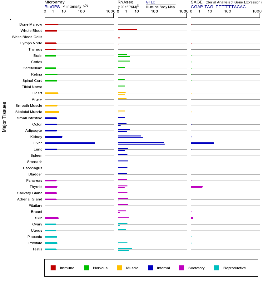 基因在不同组织中的表达图