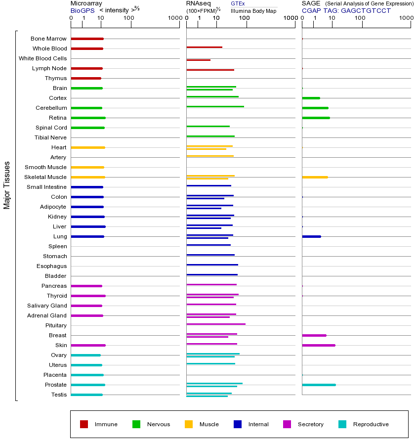 基因在不同组织中的表达图