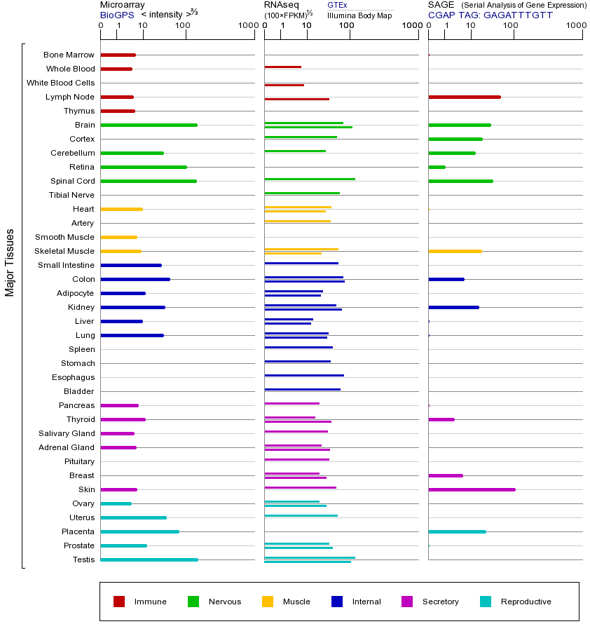 基因在不同组织中的表达图