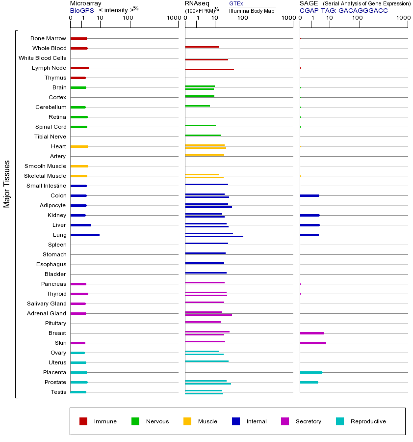基因在不同组织中的表达图