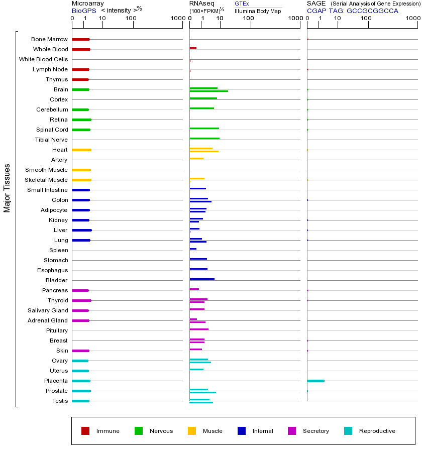 基因在不同组织中的表达图
