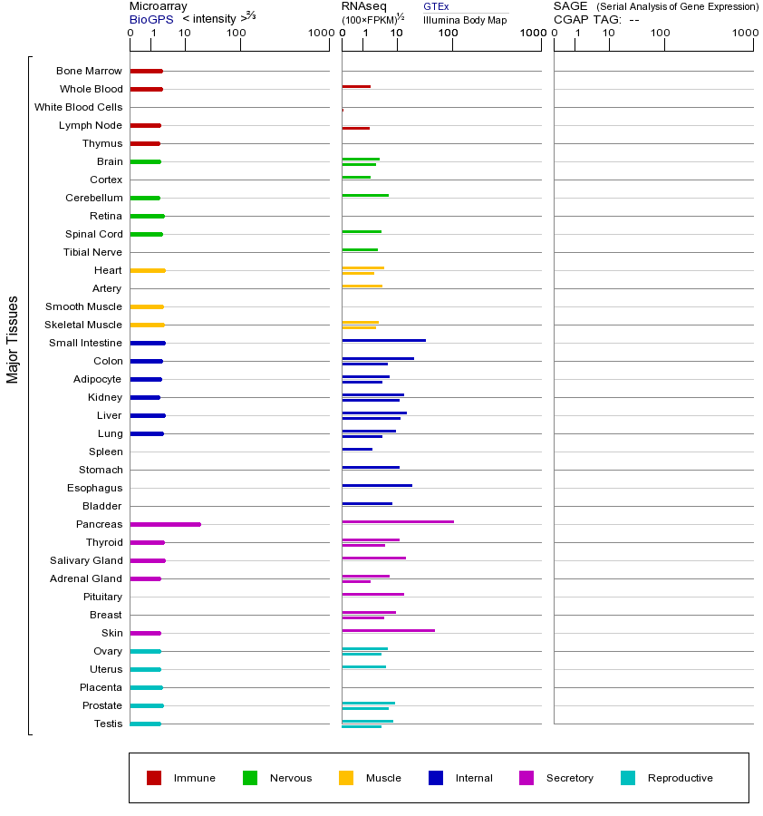基因在不同组织中的表达图