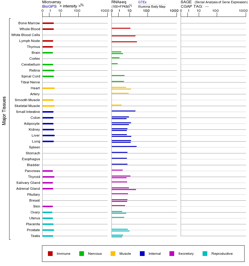 基因在不同组织中的表达图