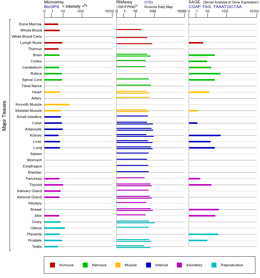 基因在不同组织中的表达图