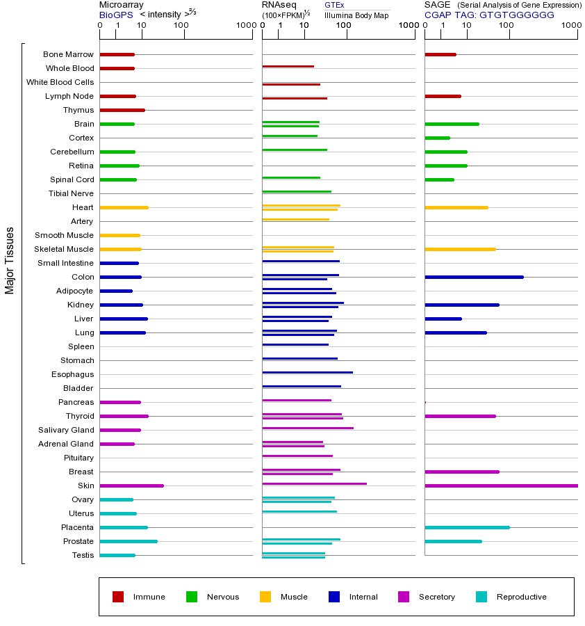 基因在不同组织中的表达图