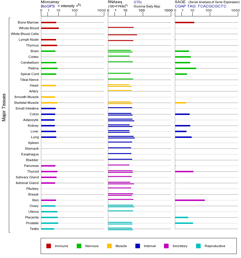 基因在不同组织中的表达图