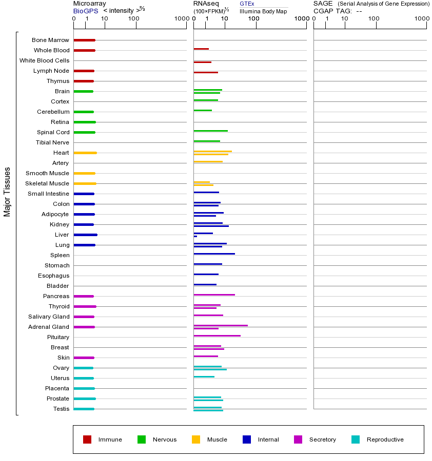 基因在不同组织中的表达图
