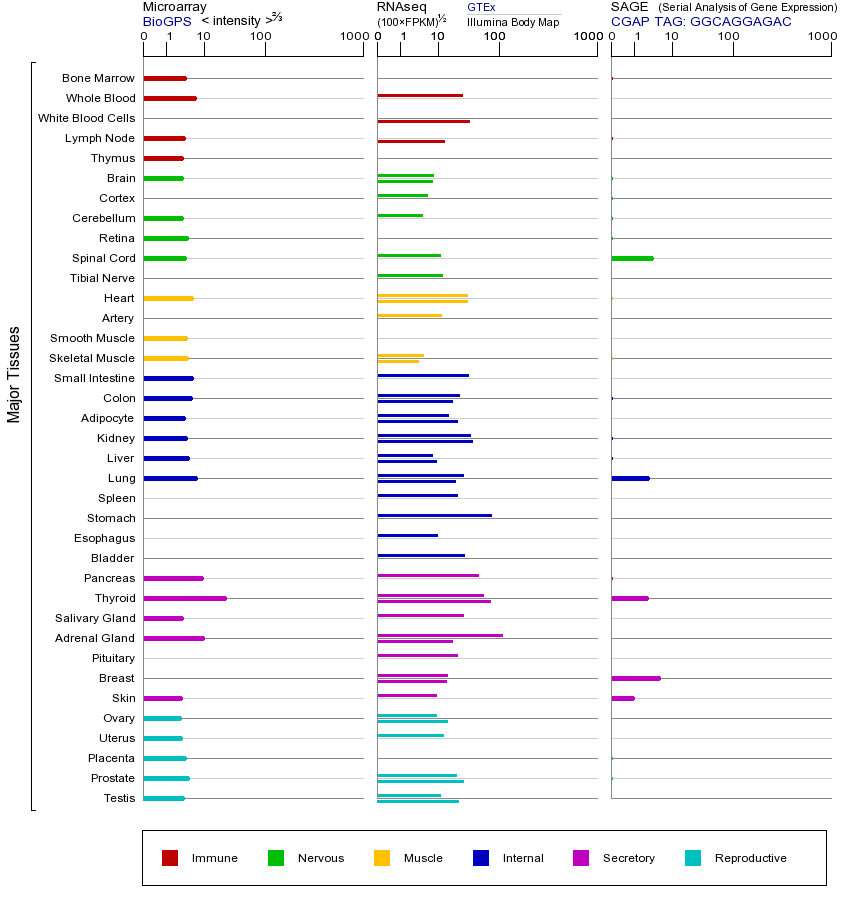 基因在不同组织中的表达图