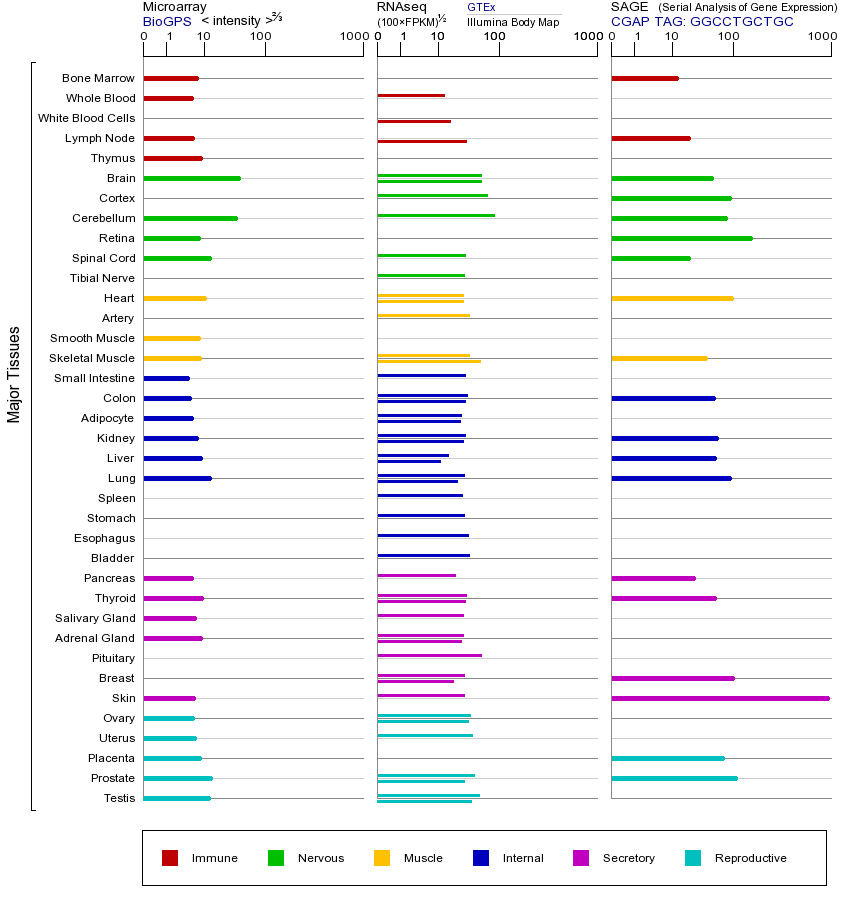 基因在不同组织中的表达图