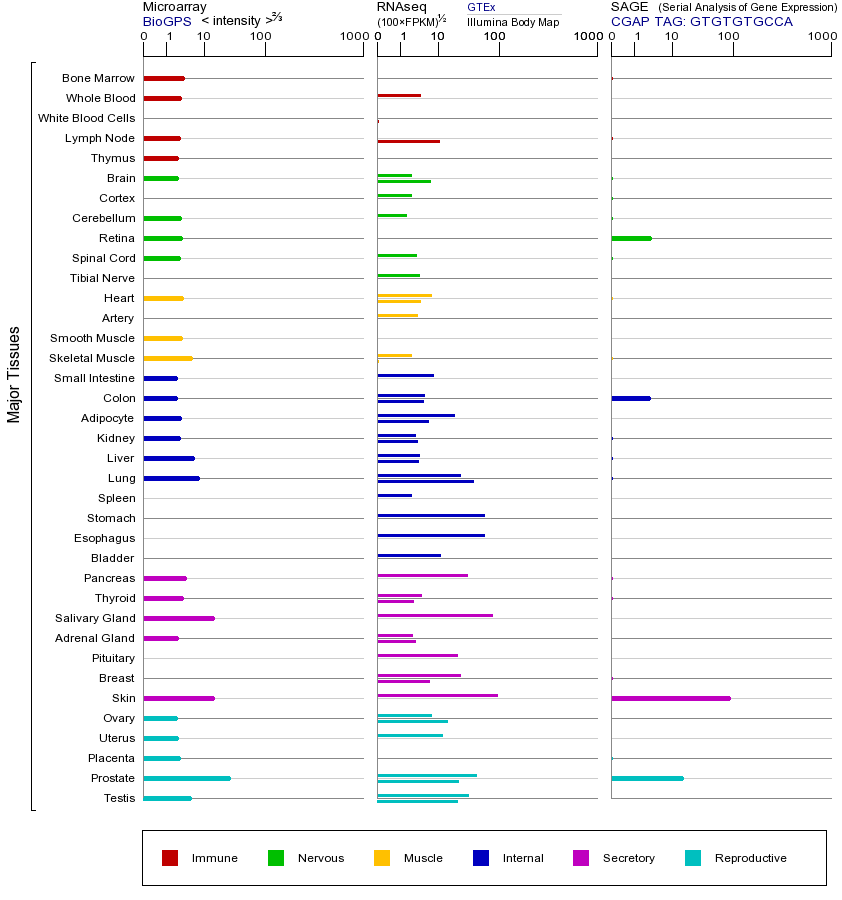基因在不同组织中的表达图