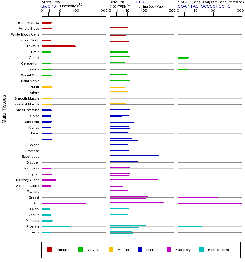 基因在不同组织中的表达图