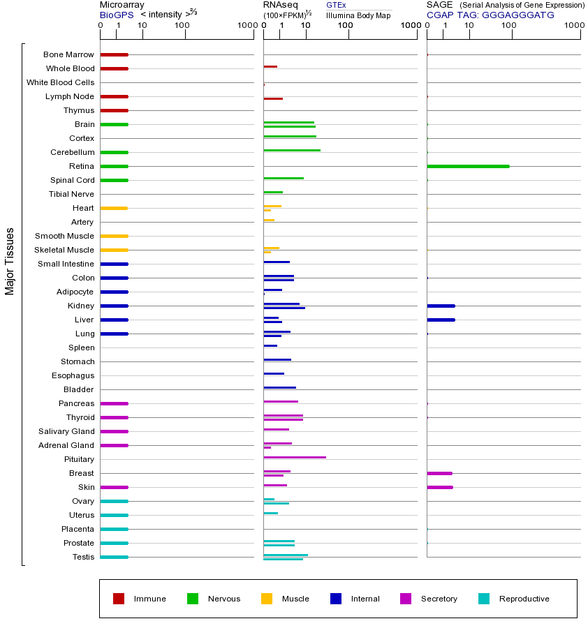 基因在不同组织中的表达图