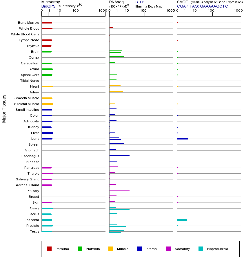 基因在不同组织中的表达图