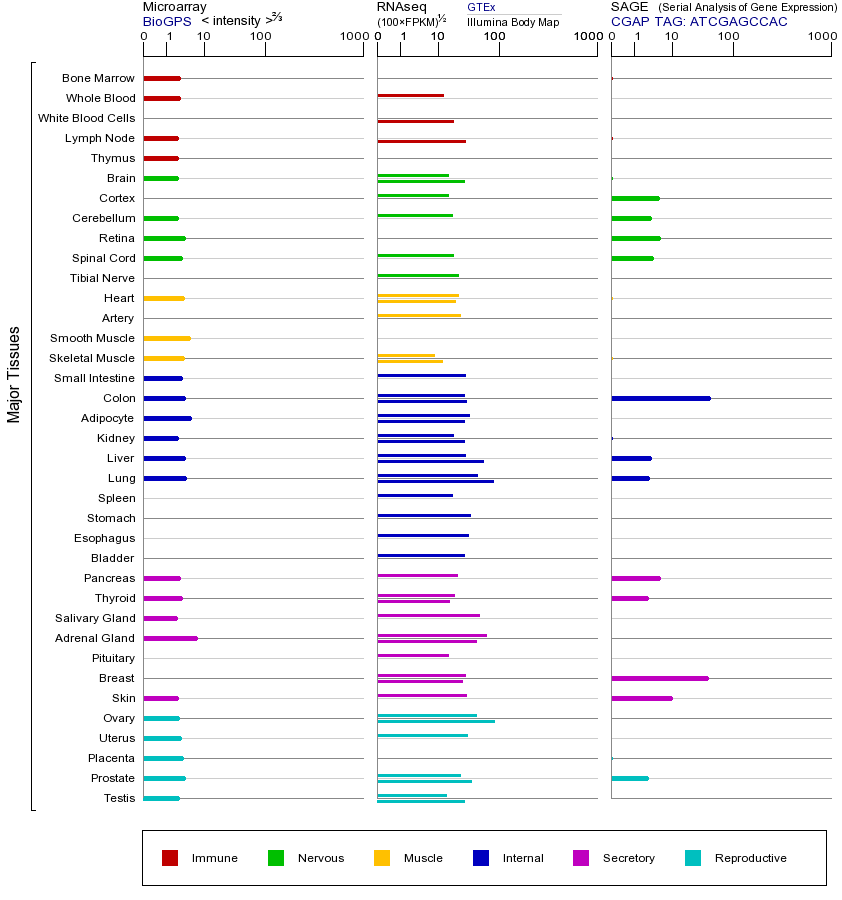 基因在不同组织中的表达图