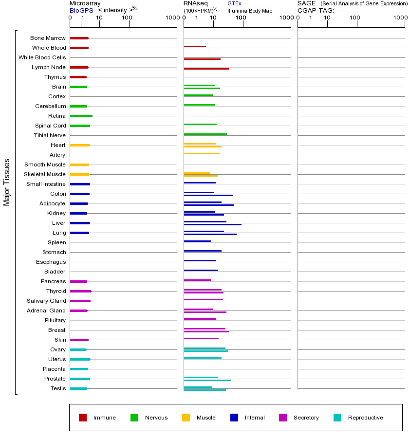 基因在不同组织中的表达图