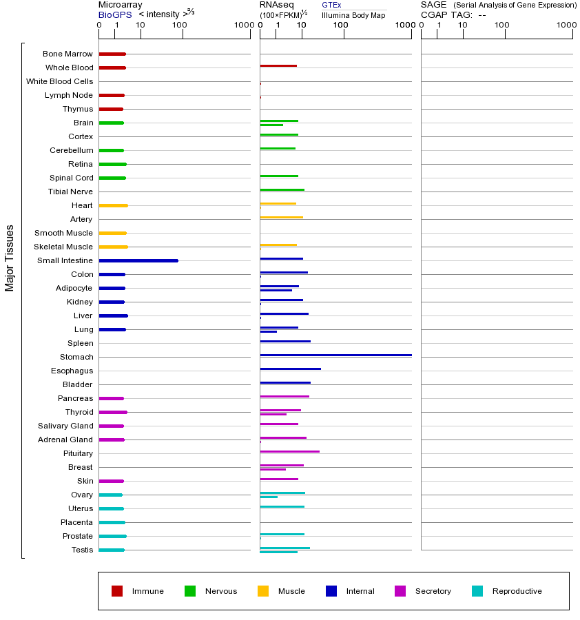 基因在不同组织中的表达图