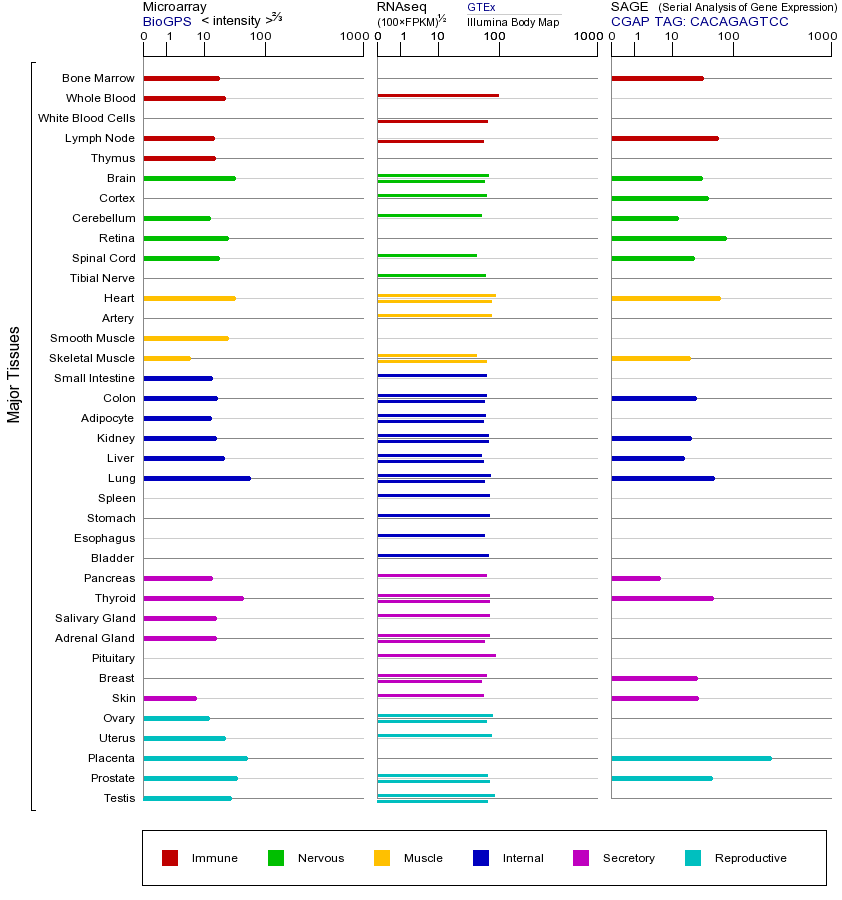 基因在不同组织中的表达图