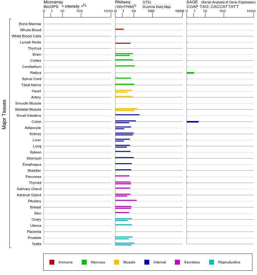 基因在不同组织中的表达图