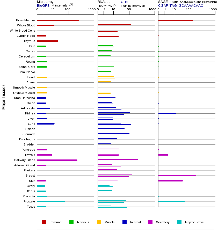 基因在不同组织中的表达图