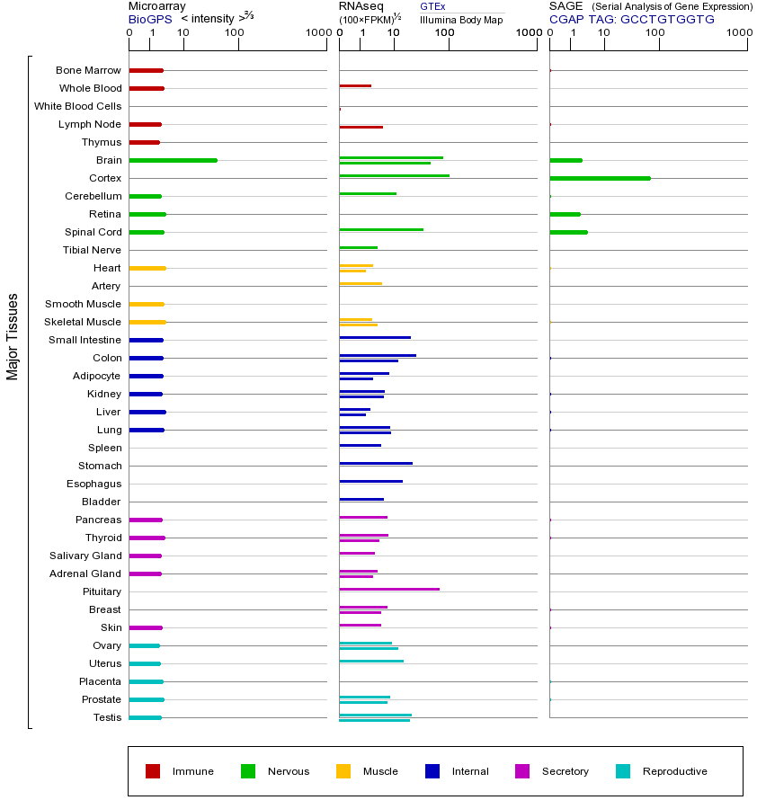 基因在不同组织中的表达图