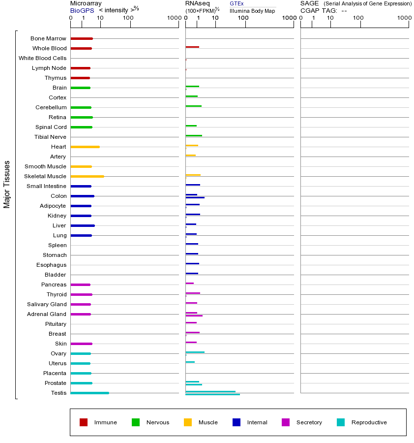 基因在不同组织中的表达图
