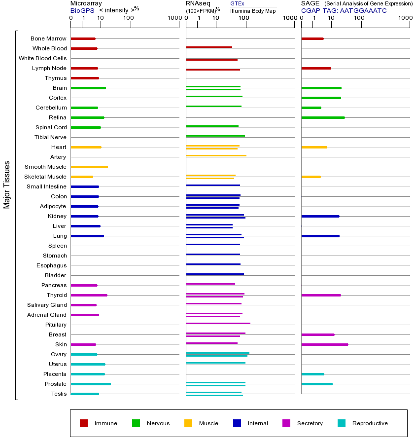 基因在不同组织中的表达图