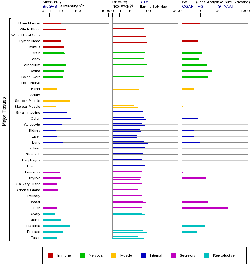 基因在不同组织中的表达图