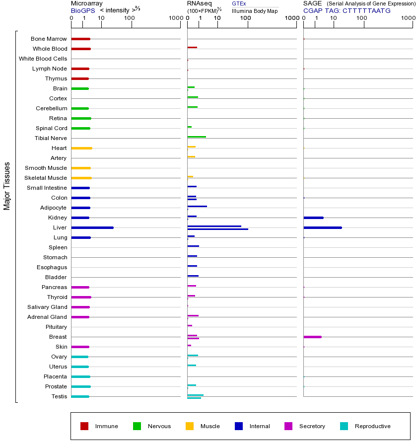 基因在不同组织中的表达图