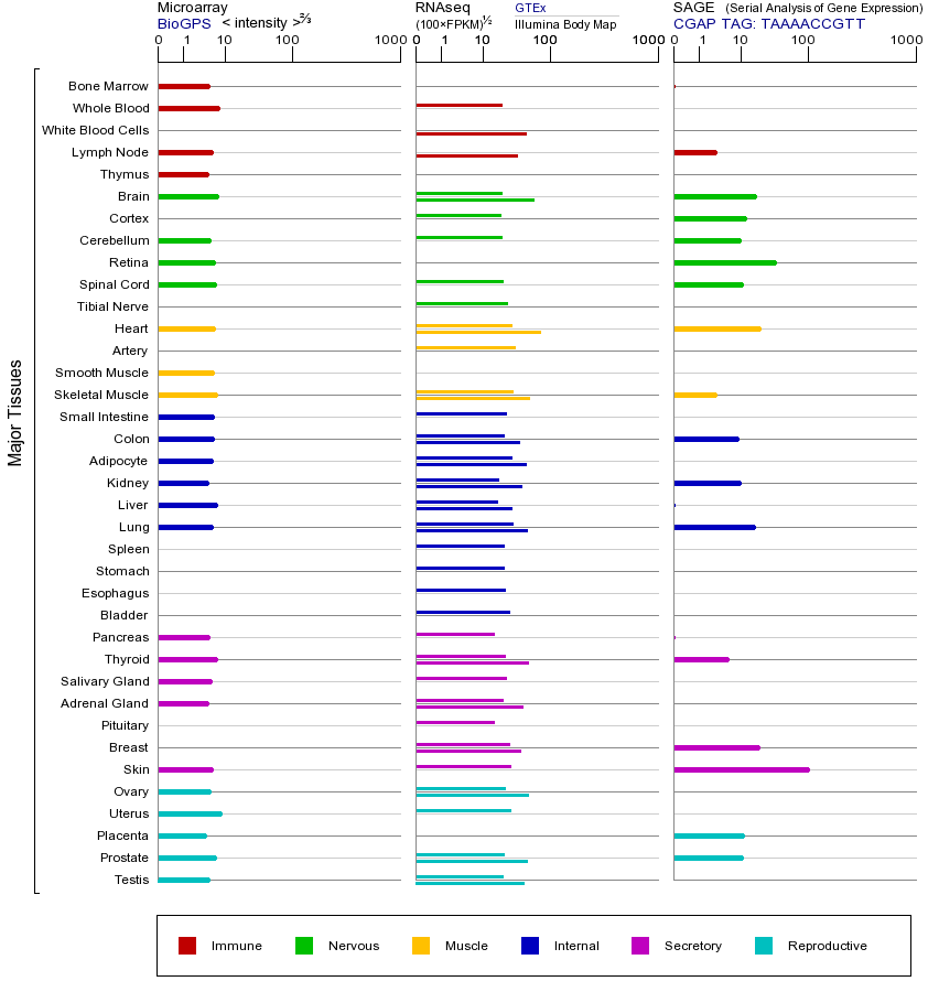 基因在不同组织中的表达图