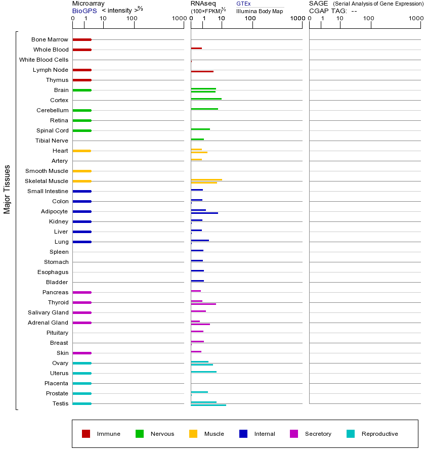 基因在不同组织中的表达图
