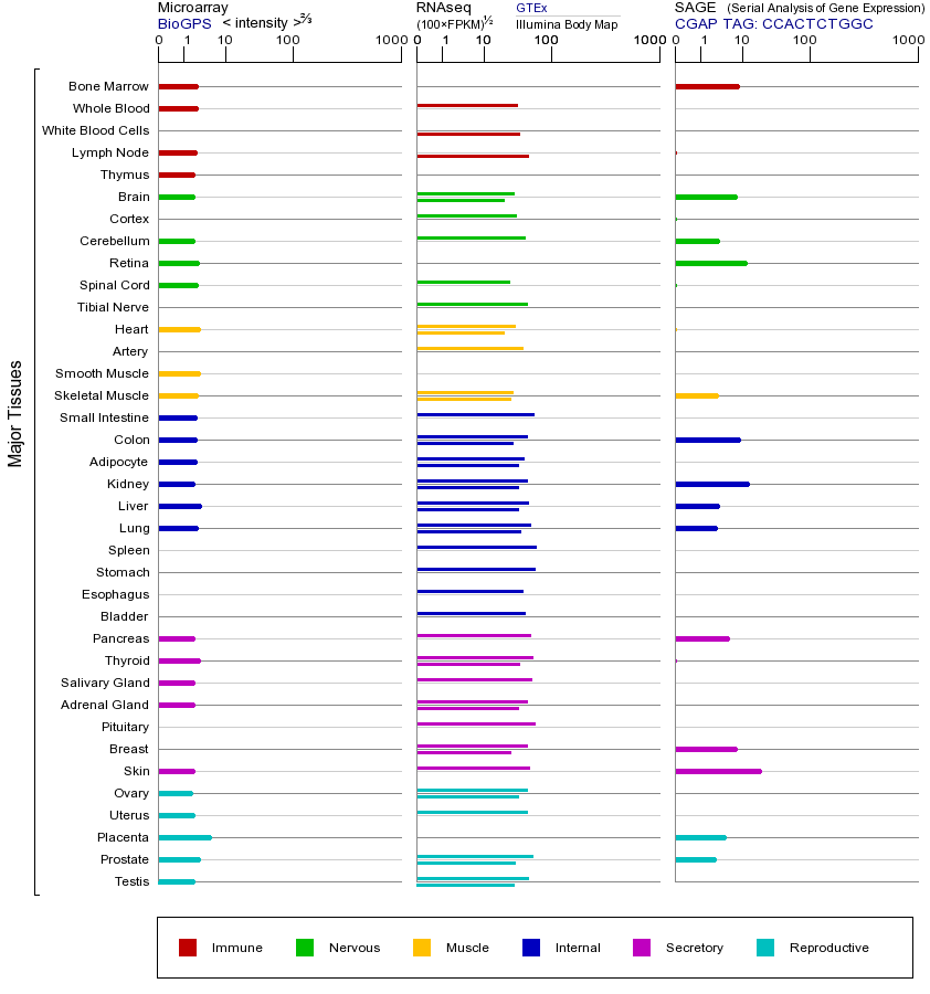 基因在不同组织中的表达图